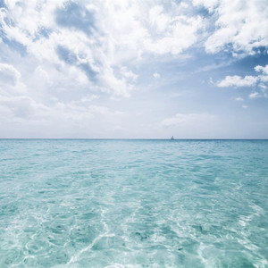 色欲AⅤ精品无码一区二区
