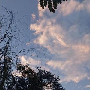 色欲AⅤ精品无码一区二区
