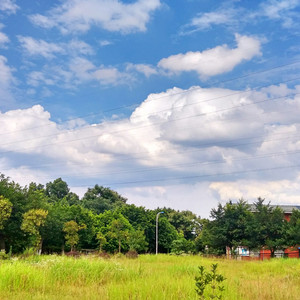 色欲AⅤ精品无码一区二区
