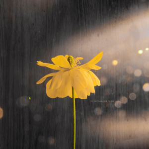 色欲AⅤ精品无码一区二区
